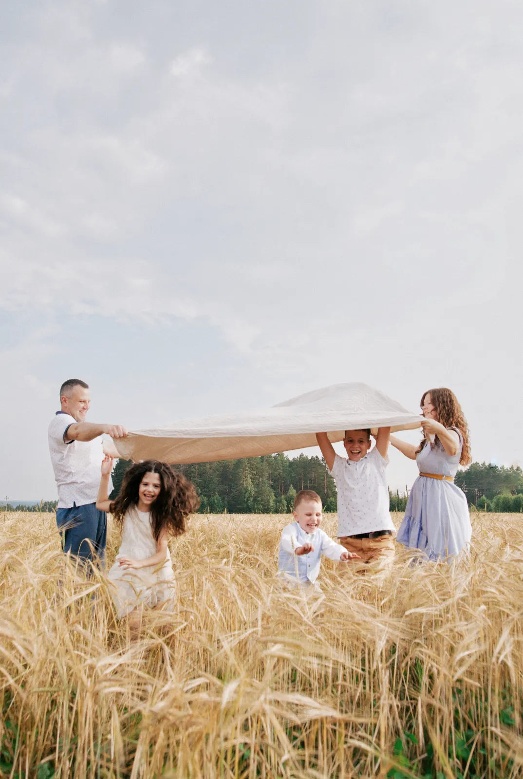 Parents holding a blanket over three laughing children in a golden wheat field